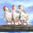 Chicken III Print