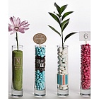 Personalized Bud Vase Wedding Favor