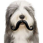 Humunga Stache Dog Toy