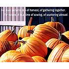 Personalized Pumpkin Pile Art Print