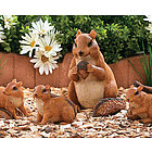 Chipmunk Family