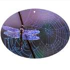9" Dragonfly Oval Sun Catcher