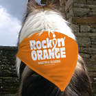Rockin Orange for MS Pet Bandana