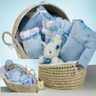 Baby Deluxe Moses Prince Gift Basket