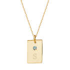 Birthstone and Personalized Initial Petite Gold Tag Pendant