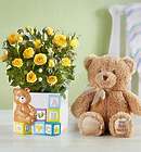 Baby Blocks Playtime Roses with Teddy Bear