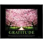 Attitude of Gratitude Cherry Blossoms Framed Motivational Poster