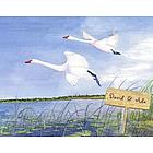 Personalized "Swan Lake" Art Print