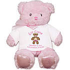 New Baby's Personalized Pink Bear