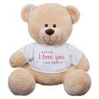 I Love You Hearts Teddy Bear with Personalized T-Shirt