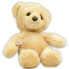 Happy Birthday Woe Teddy Bear