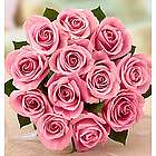 12 Pink Petal Roses
