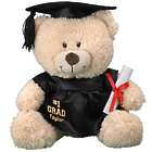 Number One Grad's Personalized Plush Teddy Bear