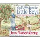 God's Wisdom for Boys Children's Book