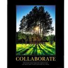 Collaborate Grove Motivational Poster