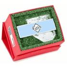 Tampa Bay Rays Sophisticated Money Clip