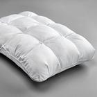 Chill Pillow with Memory Foam and Gel in Standard Size