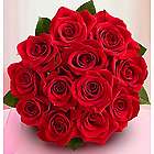 Bouquet of One Dozen Red Roses