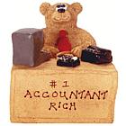 Accountant or CPA Personalized Teddy Bear Figurine