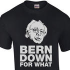 Bern Down For What - Bernie Sanders Tee Shirt