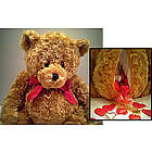 Bear My Secrets Valentine Teddy Bear
