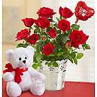 Love You Teddy Bear and Red Roses Gift Set