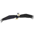 9 1/2 Foot Remote Controlled Bald Eagle