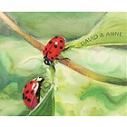 Ladybugs Personalized Fine Art Print
