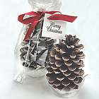 Personalized Pine Cone Fire Starter Party Favor