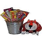 Auburn University Snack Bucket Gift Basket