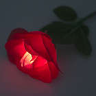Red Light Up Rose