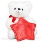 Teddy Bear Gift Card Holder