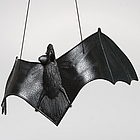 Black Hanging Bat
