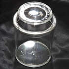 Magnifying Bug Containers
