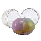 Rainbow Glitter Putty Egg