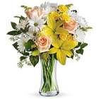 Daisies and Sunbeams Flower Bouquet