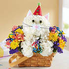 Purrfect Party Cat Bouquet
