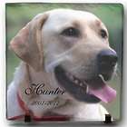 Full Color Dog Photo On 7.5" Slate Plaque