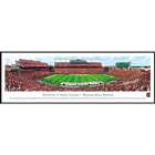 South Carolina Football 50 Yard Line Panorama Framed Print