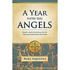 A Year With the Angels Book