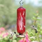 Dragonfly Filigree Glass Hummingbird Feeder in Flame Red