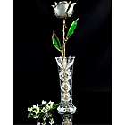 24K Gold Trimmed Silver Moonstone Rose with Crystal Vase