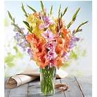 Fresh Market Gladiolus Bouquet in Clear Vase