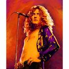 Robert Plant Pop Art Print