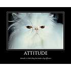 Attitude Personalized Art Print