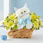 Fabulous Feline with Pink or Blue Ribbon Bouquet