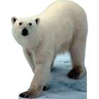 Polar Bear Standee