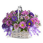 Daisy Daydreams Flowers Basket