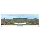 The Big Chill at the Big House ® 2010 Panoramic Framed Print