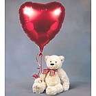 Teddy Bear and Balloon